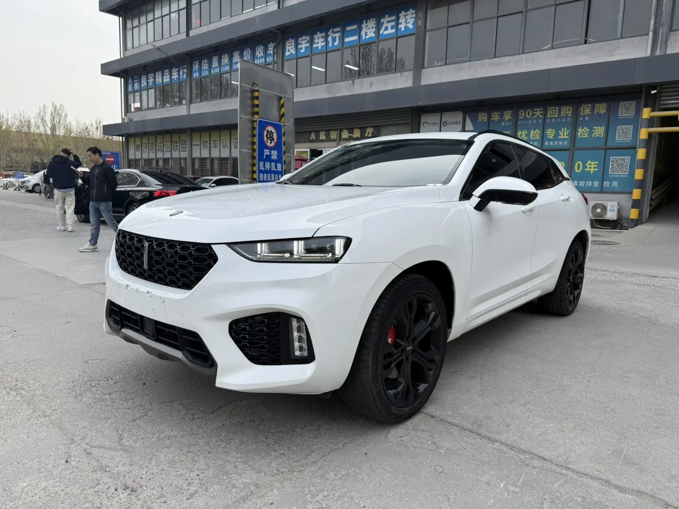 Wey Wei brand VV7