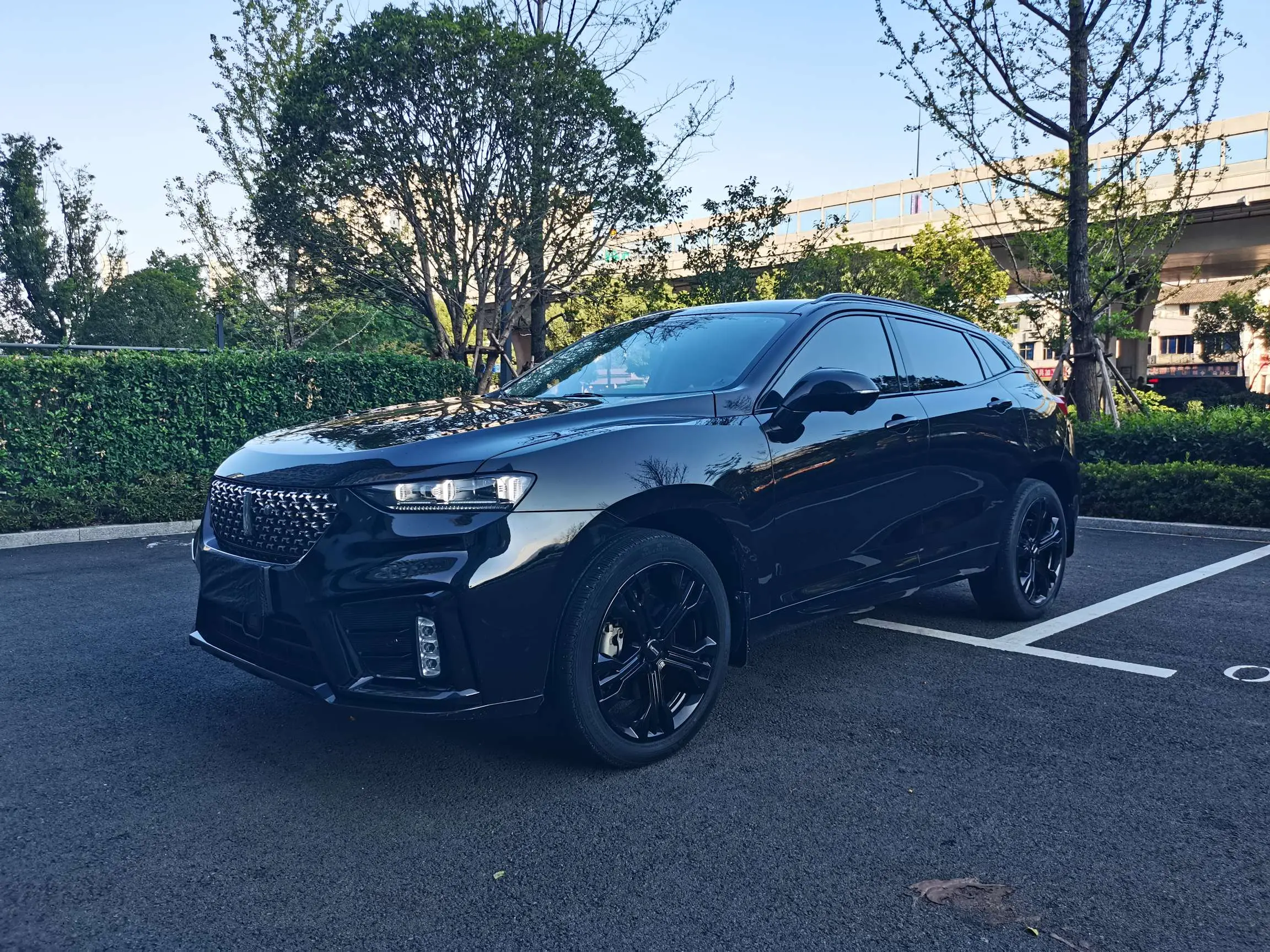 Wey Wei brand VV7