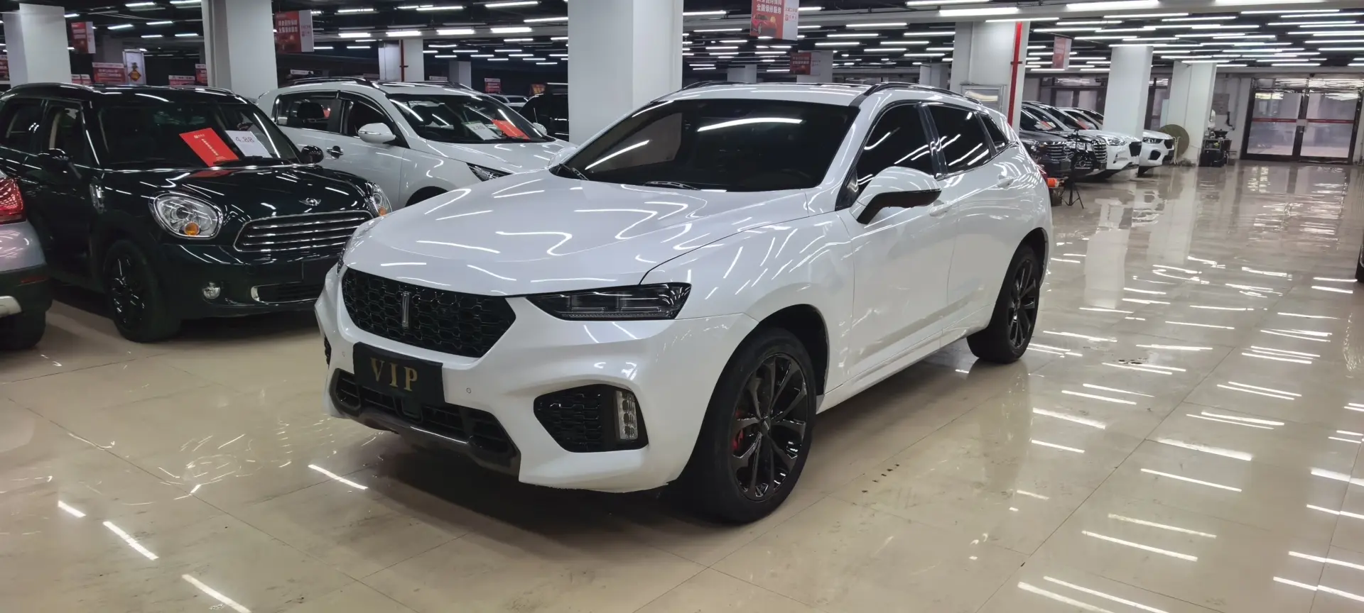 Wey Wei brand VV7