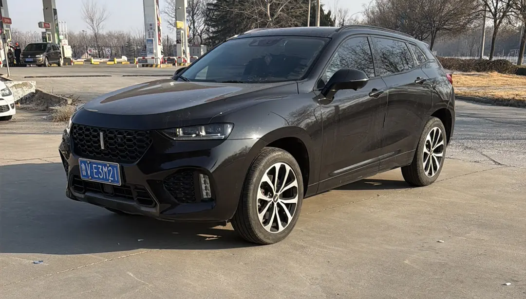 Wey Wei brand VV7