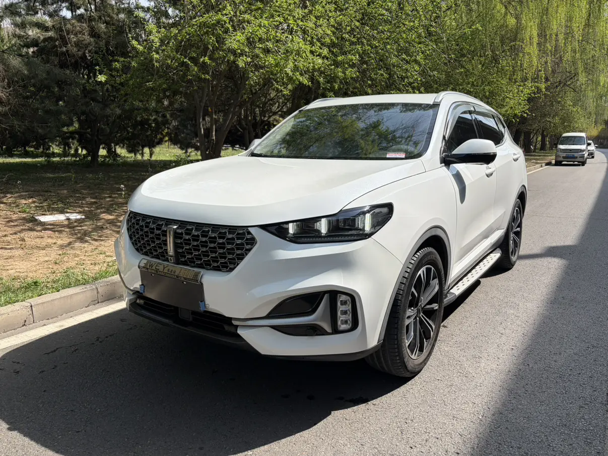 Wey Wei brand VV6