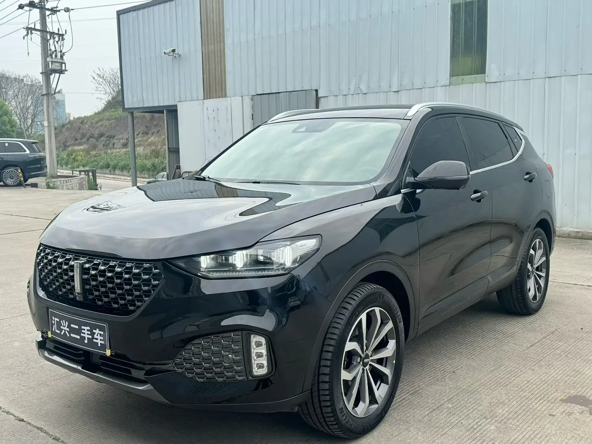 Wey Wei brand VV6