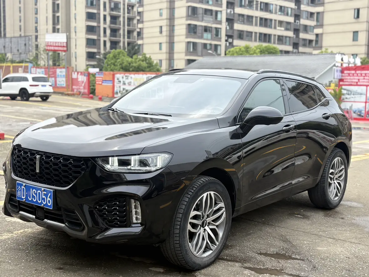 Wey Wei brand VV5