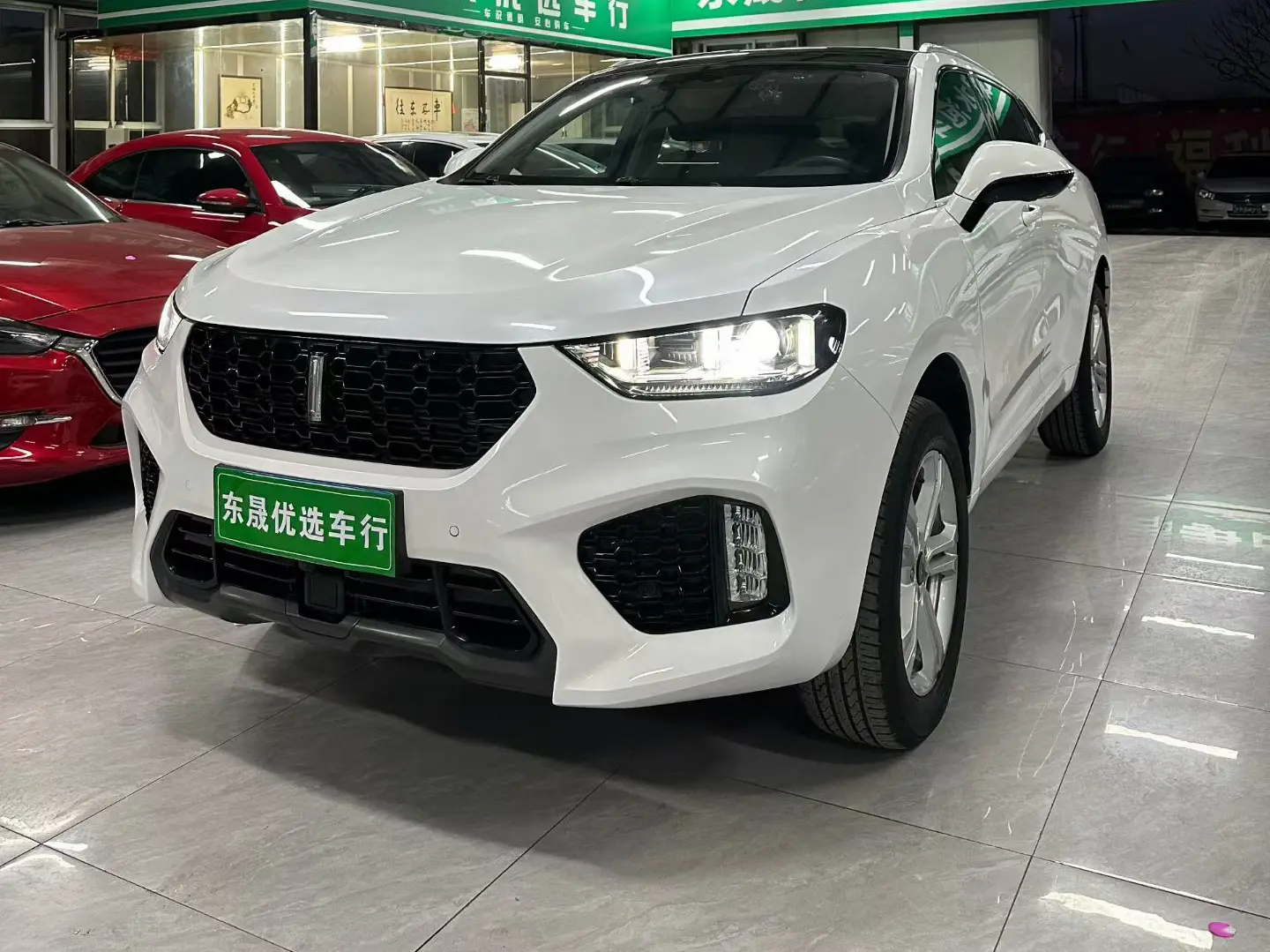 Wey Wei brand VV5