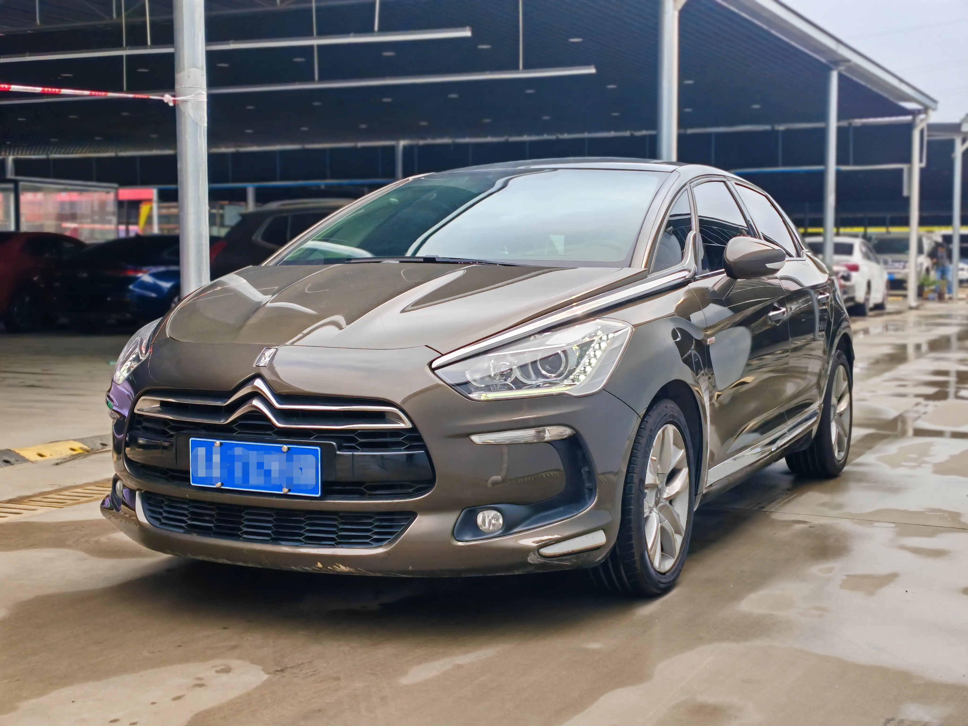 DS 5