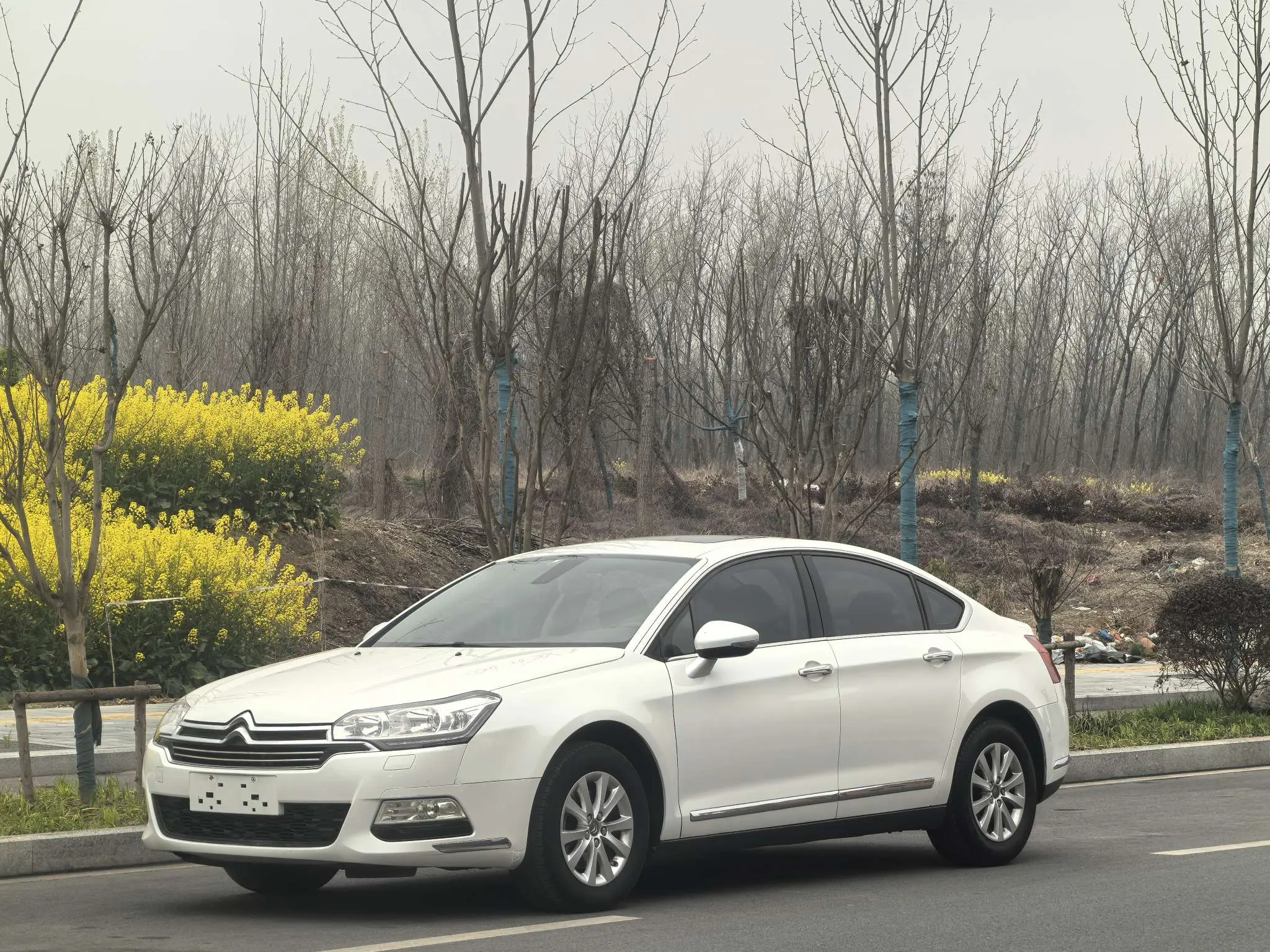 Citroën Citroen C5