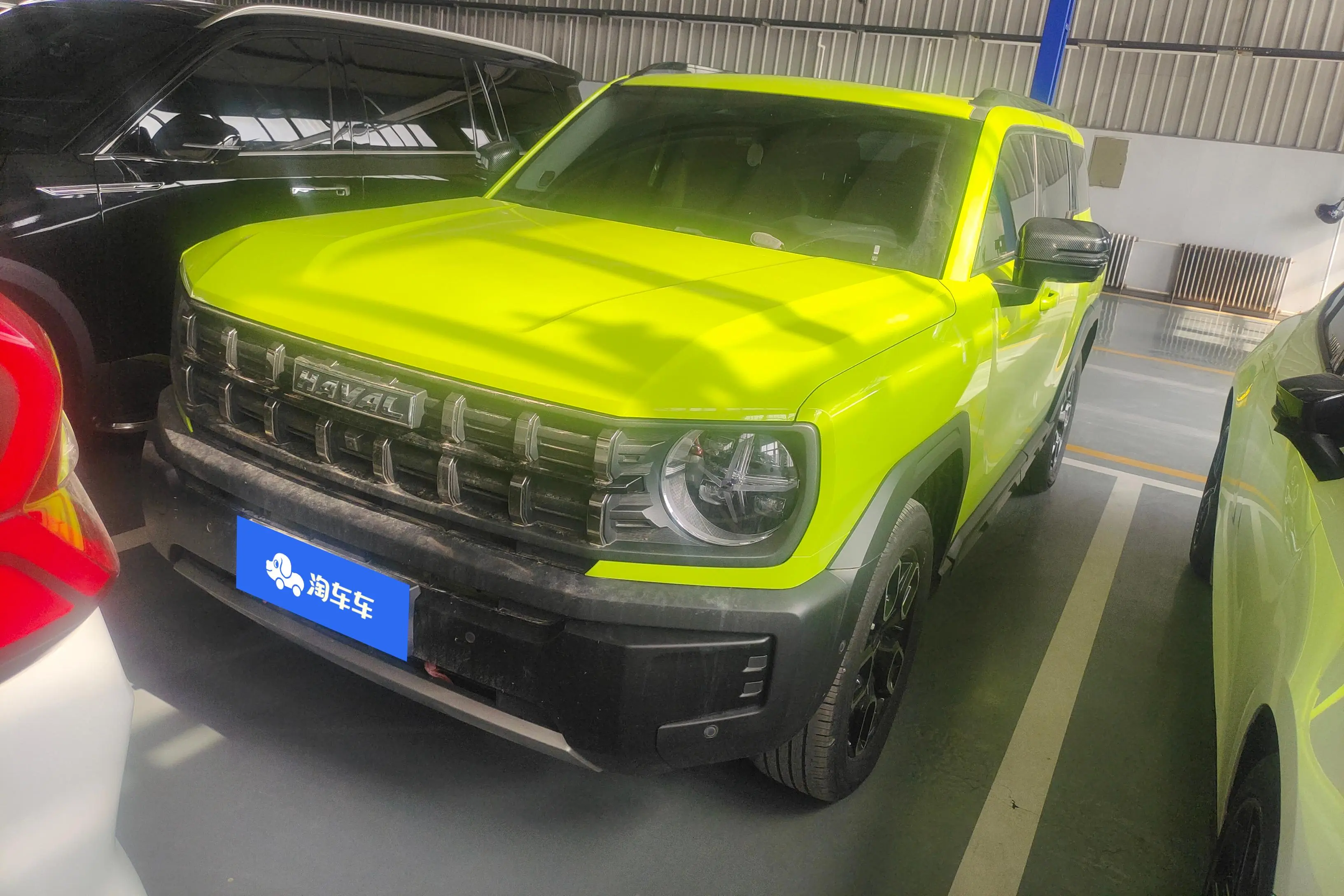 Haval cool dog