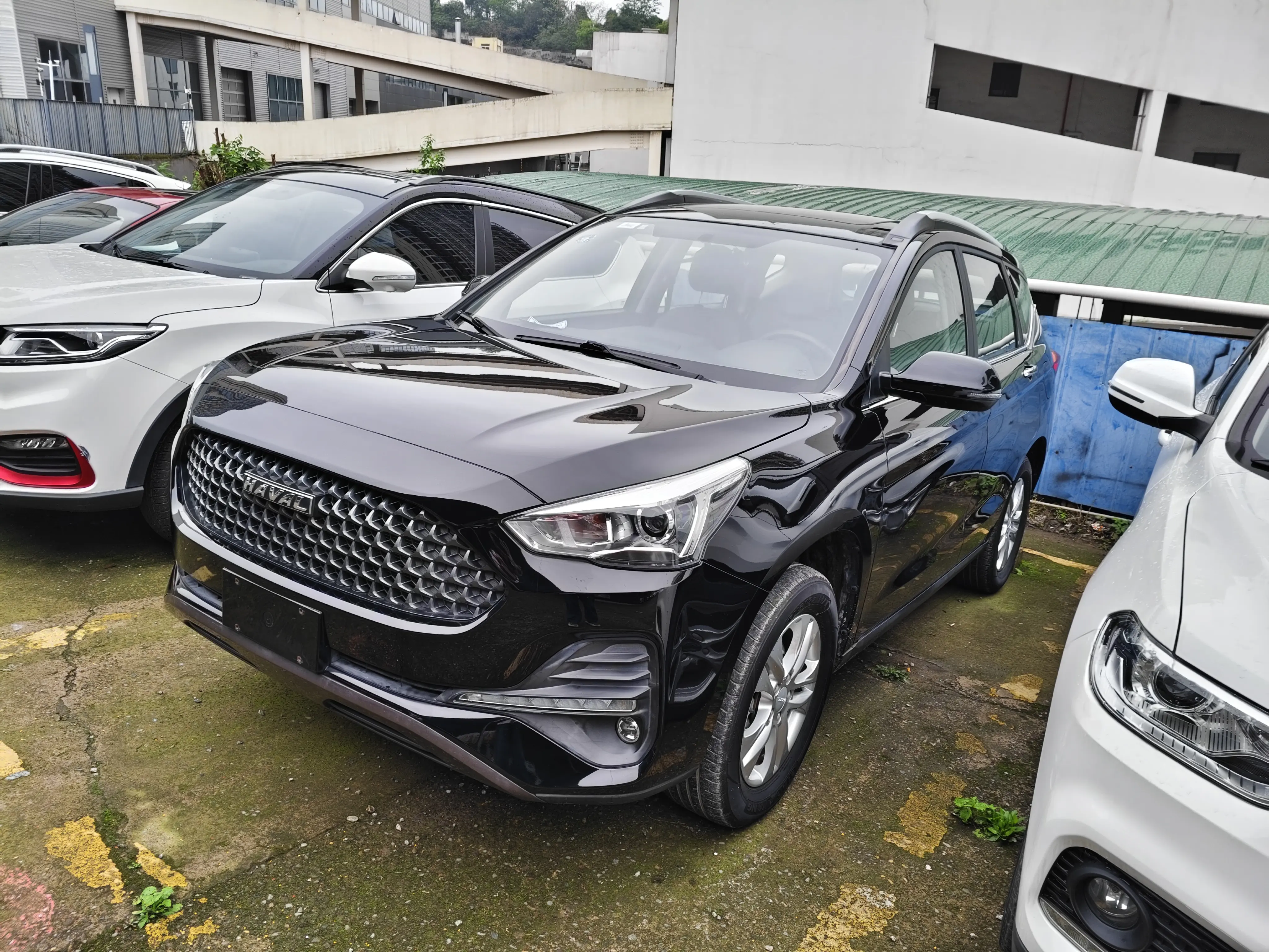 Haval M6