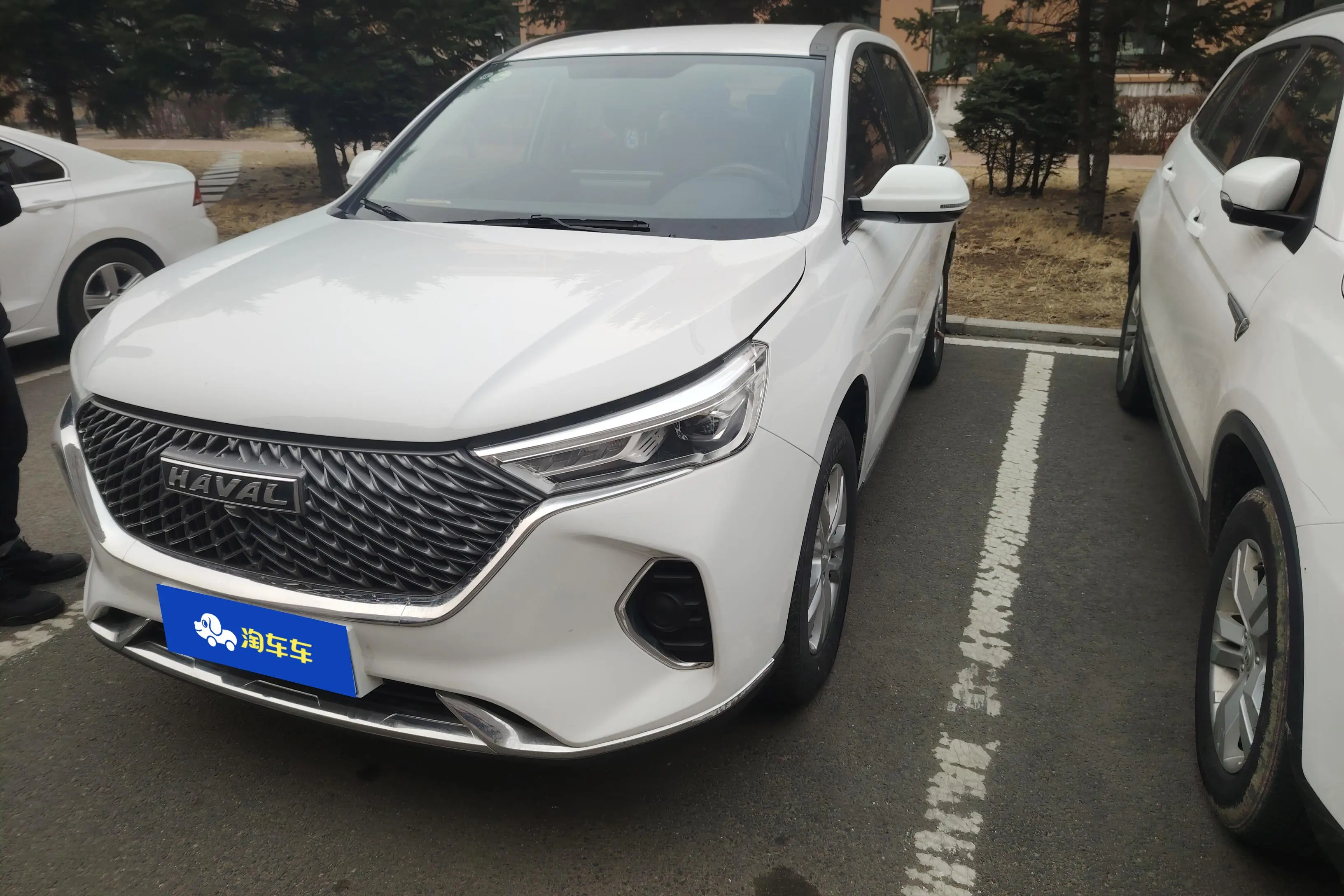 Haval M6