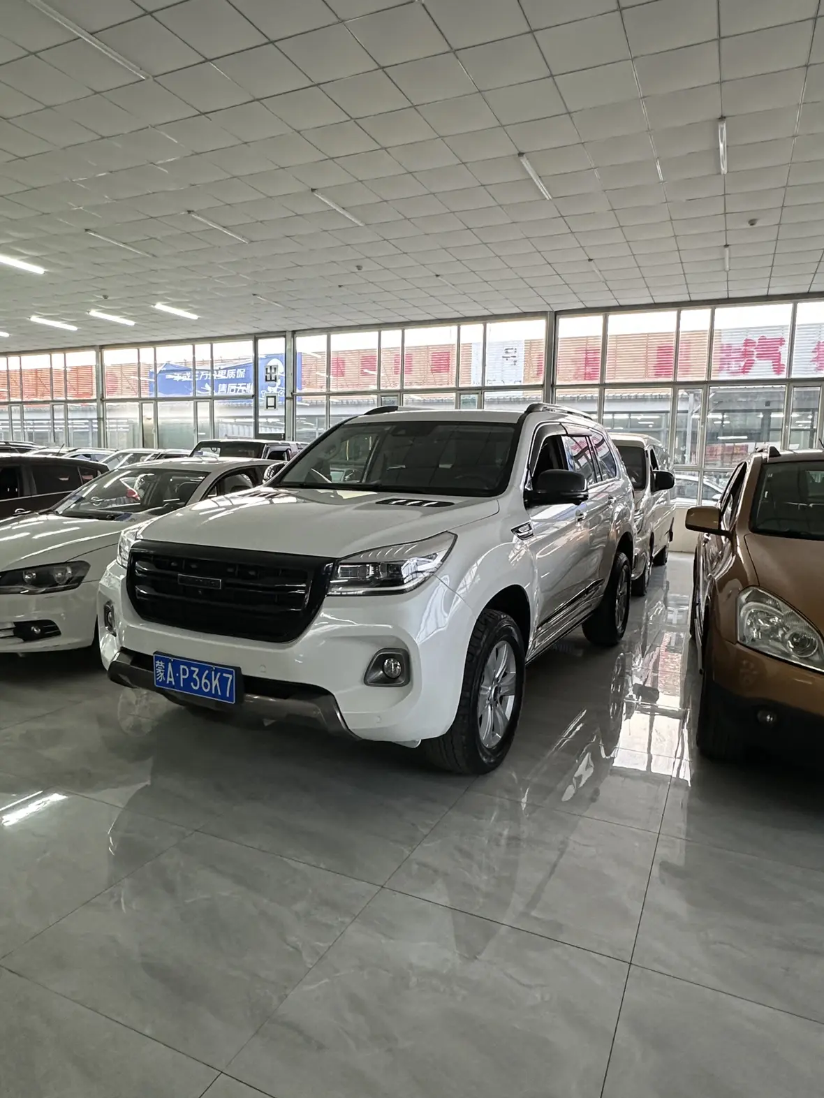 Haval H9