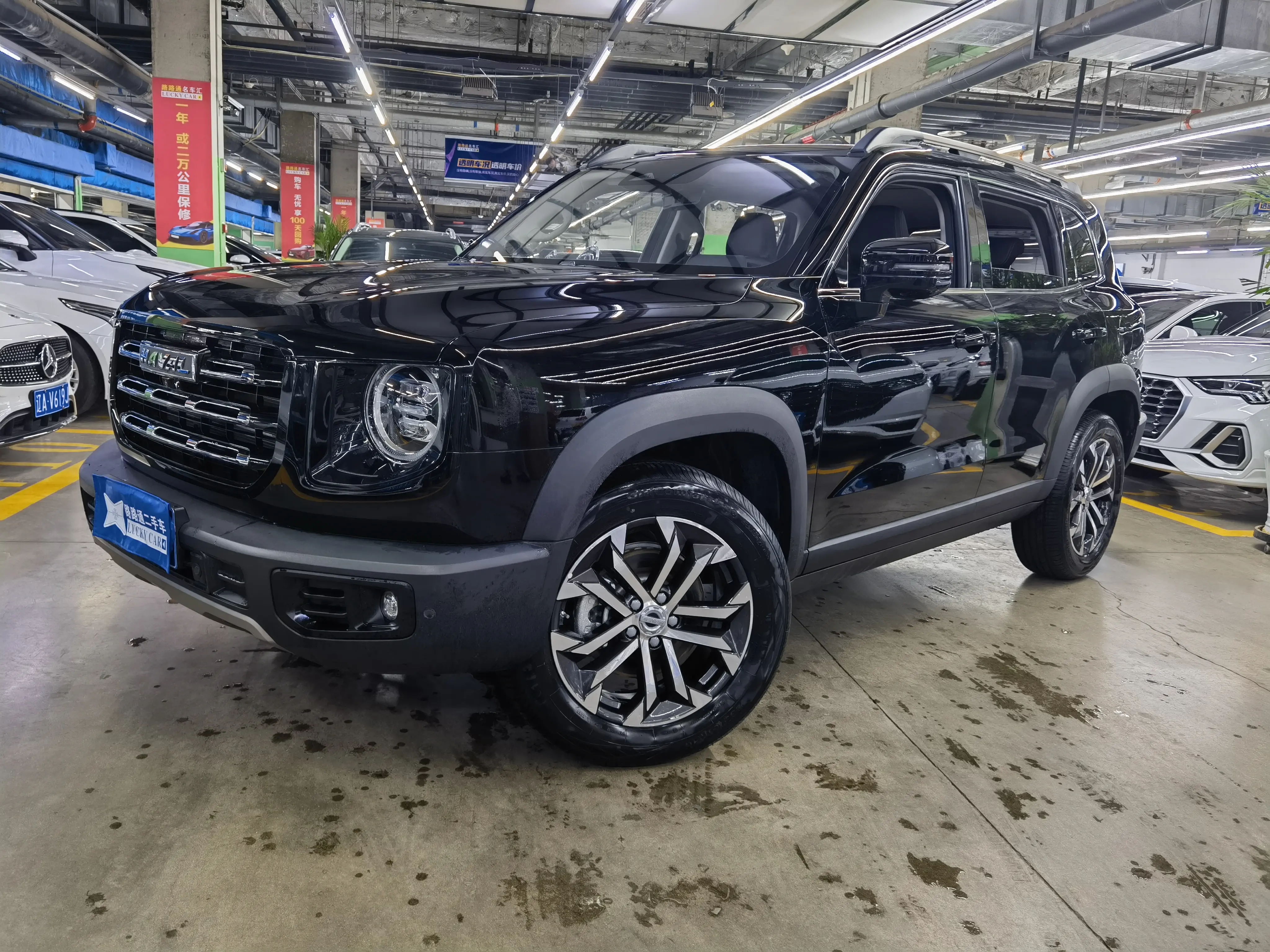 Haval Dargo