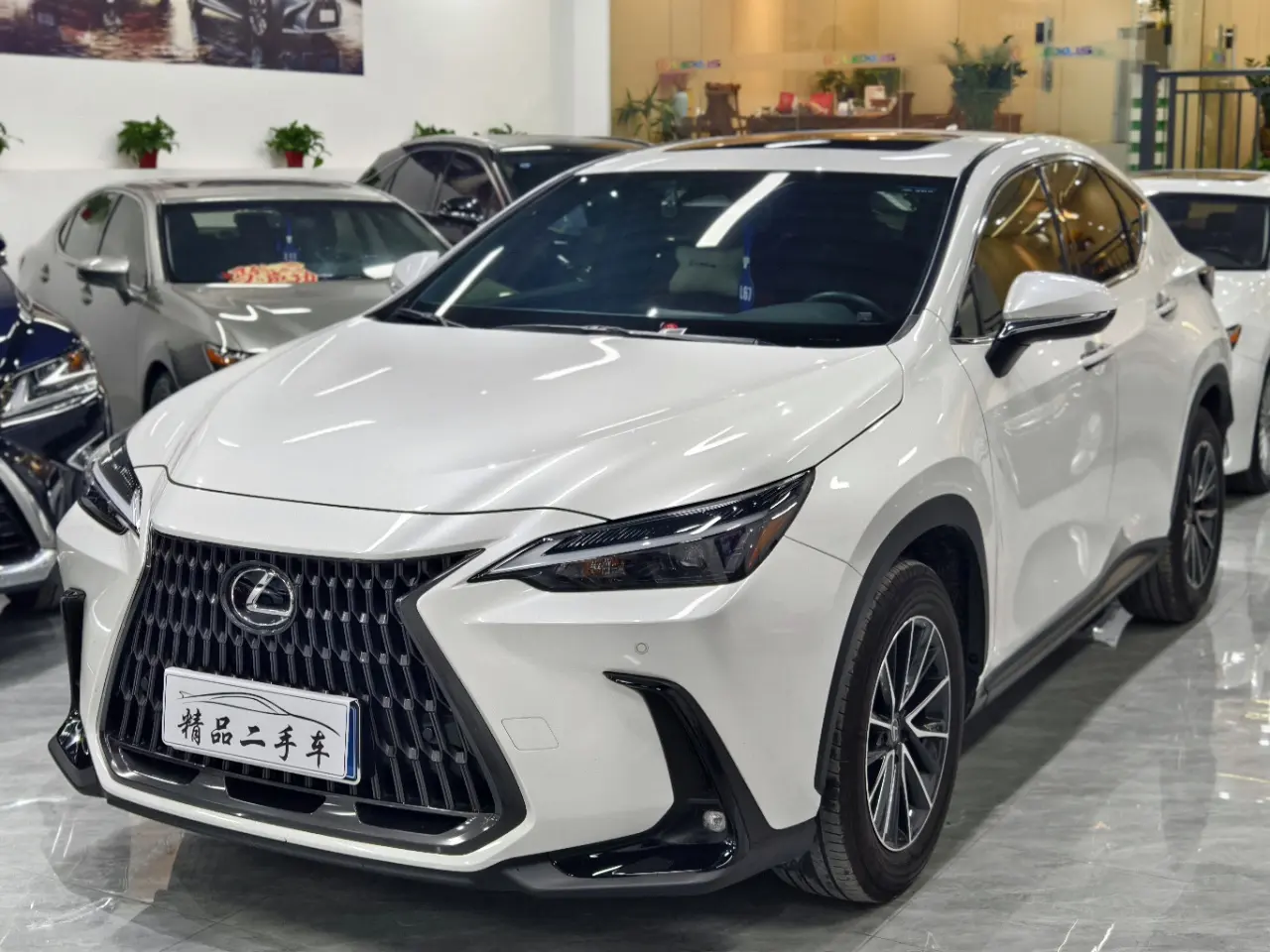 Lexus NX