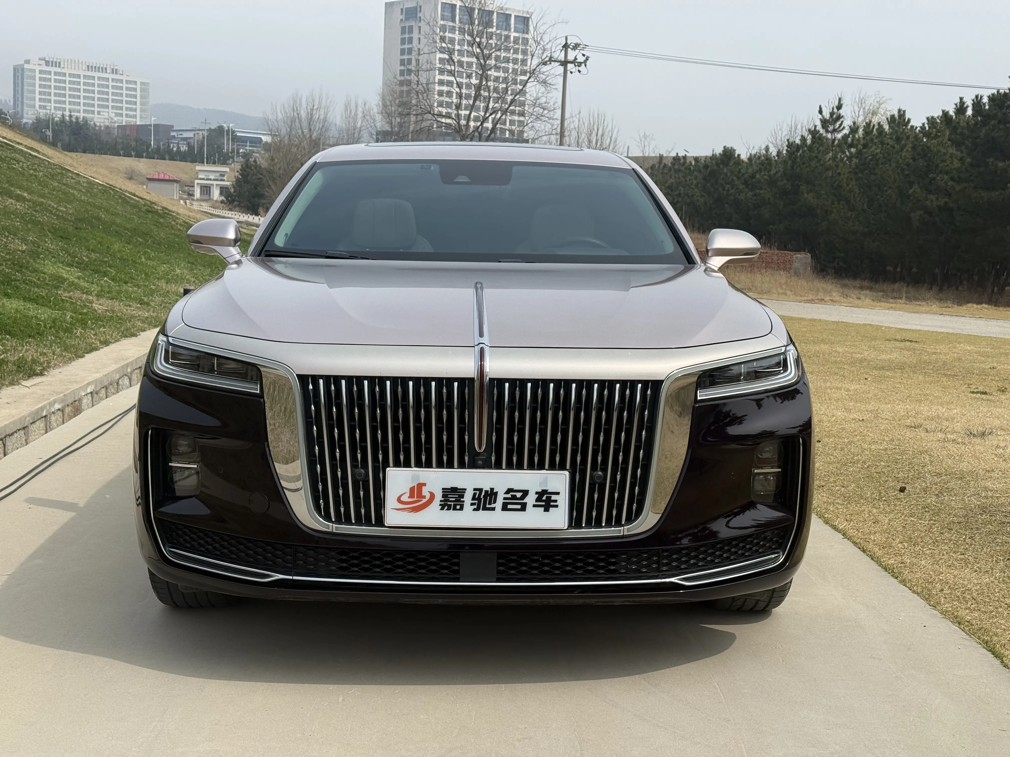 Hongqi H9