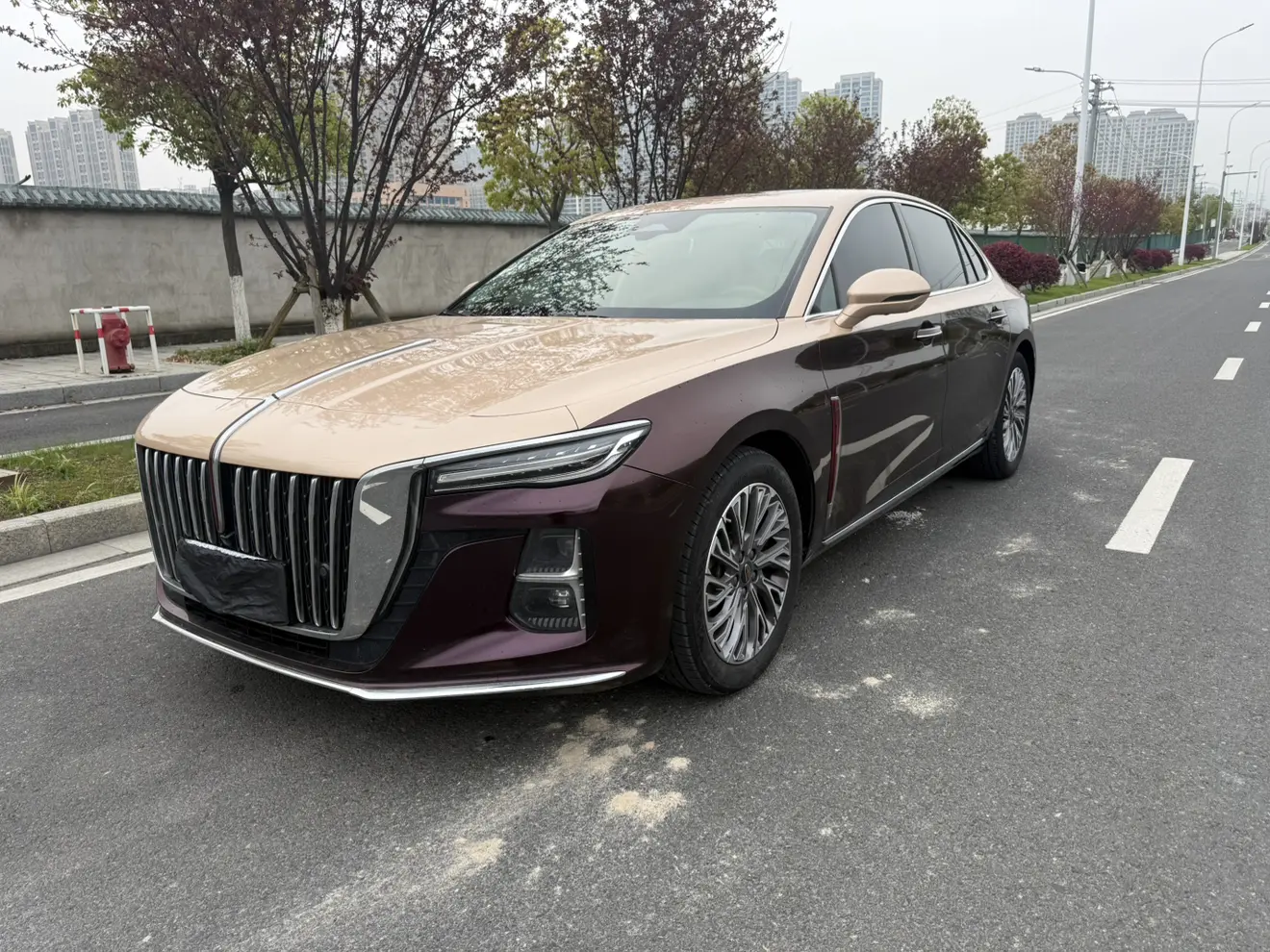 Hongqi H5