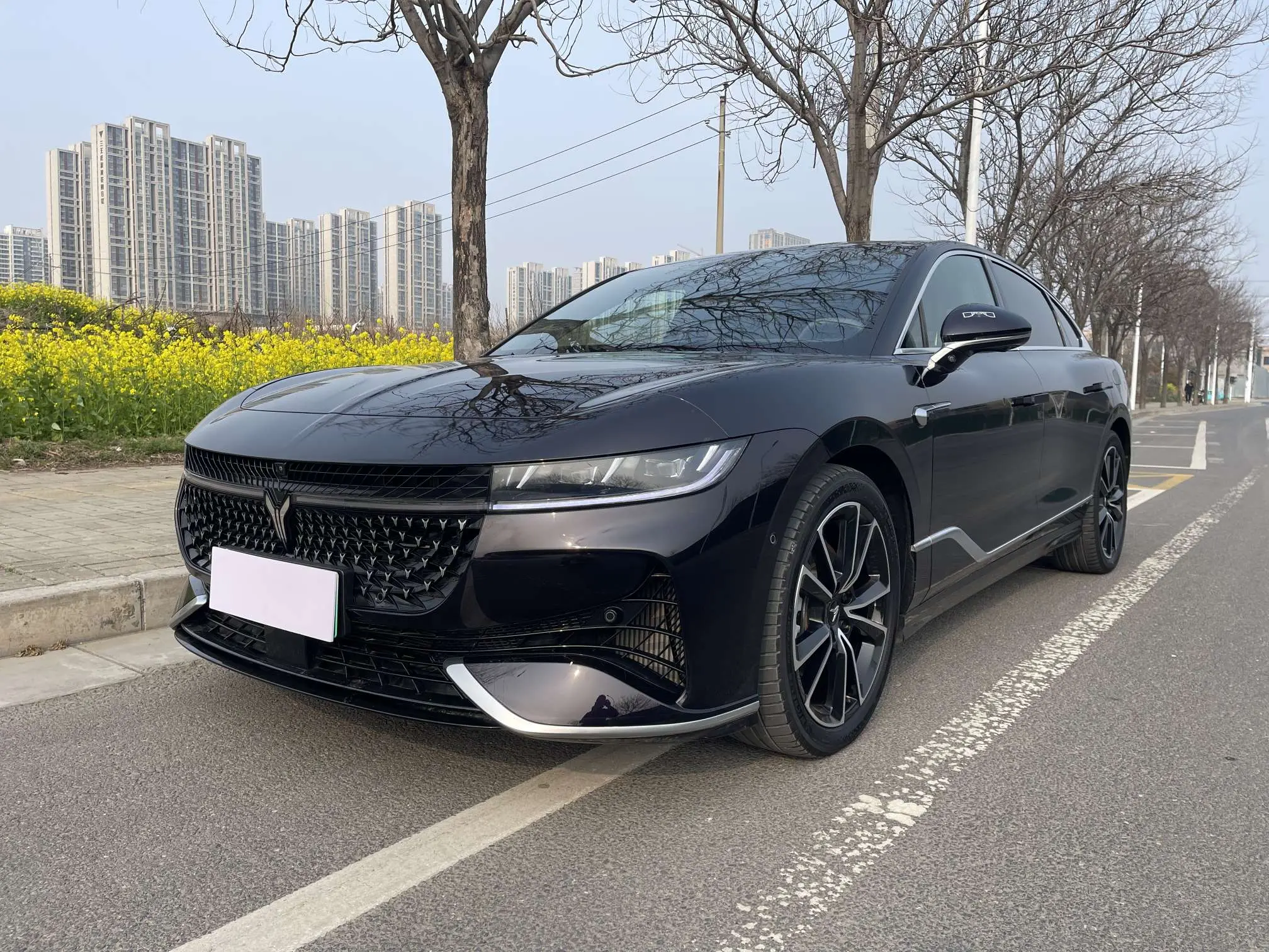 Voyah Passion PHEV