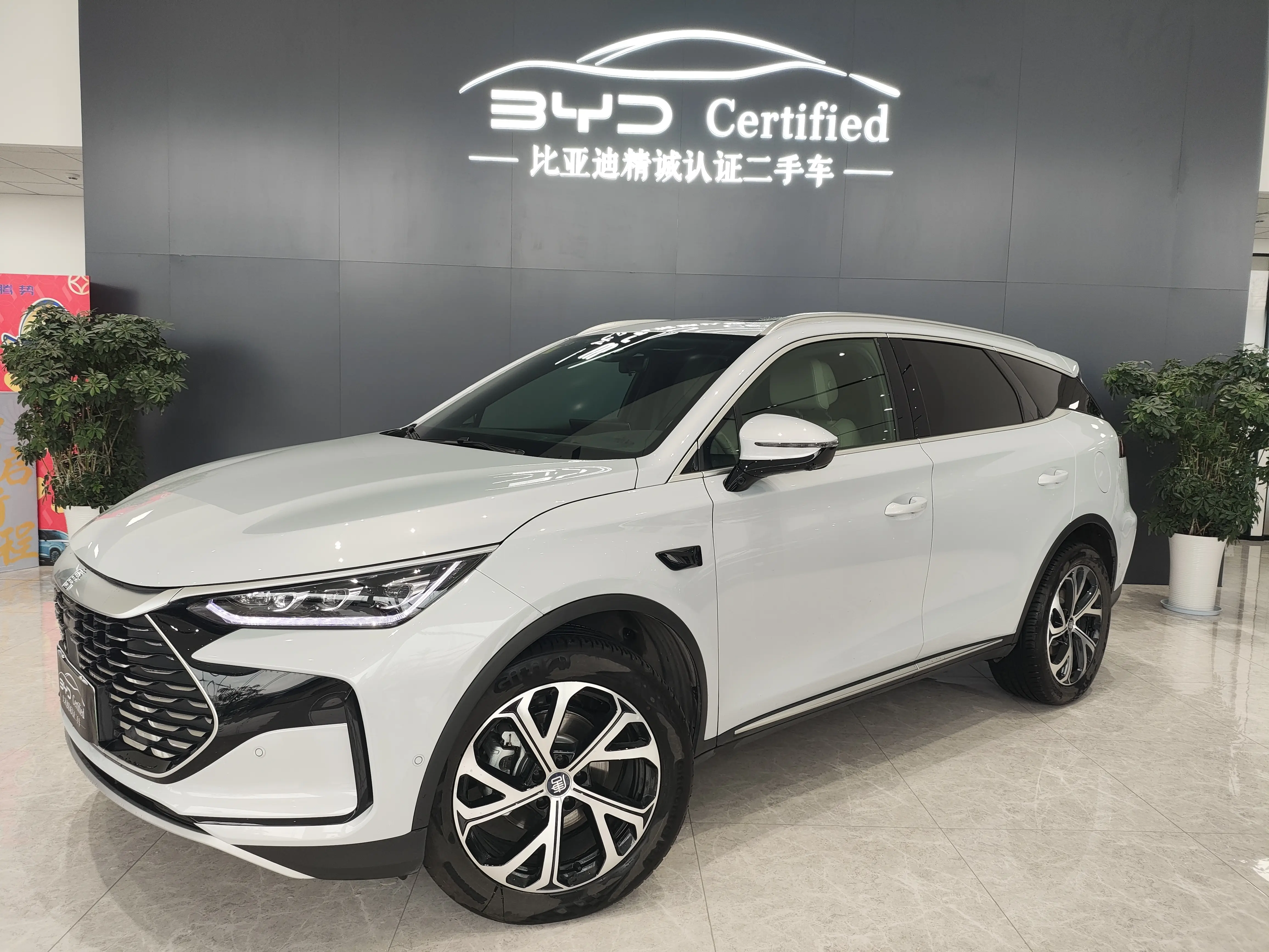 BYD Tang DM