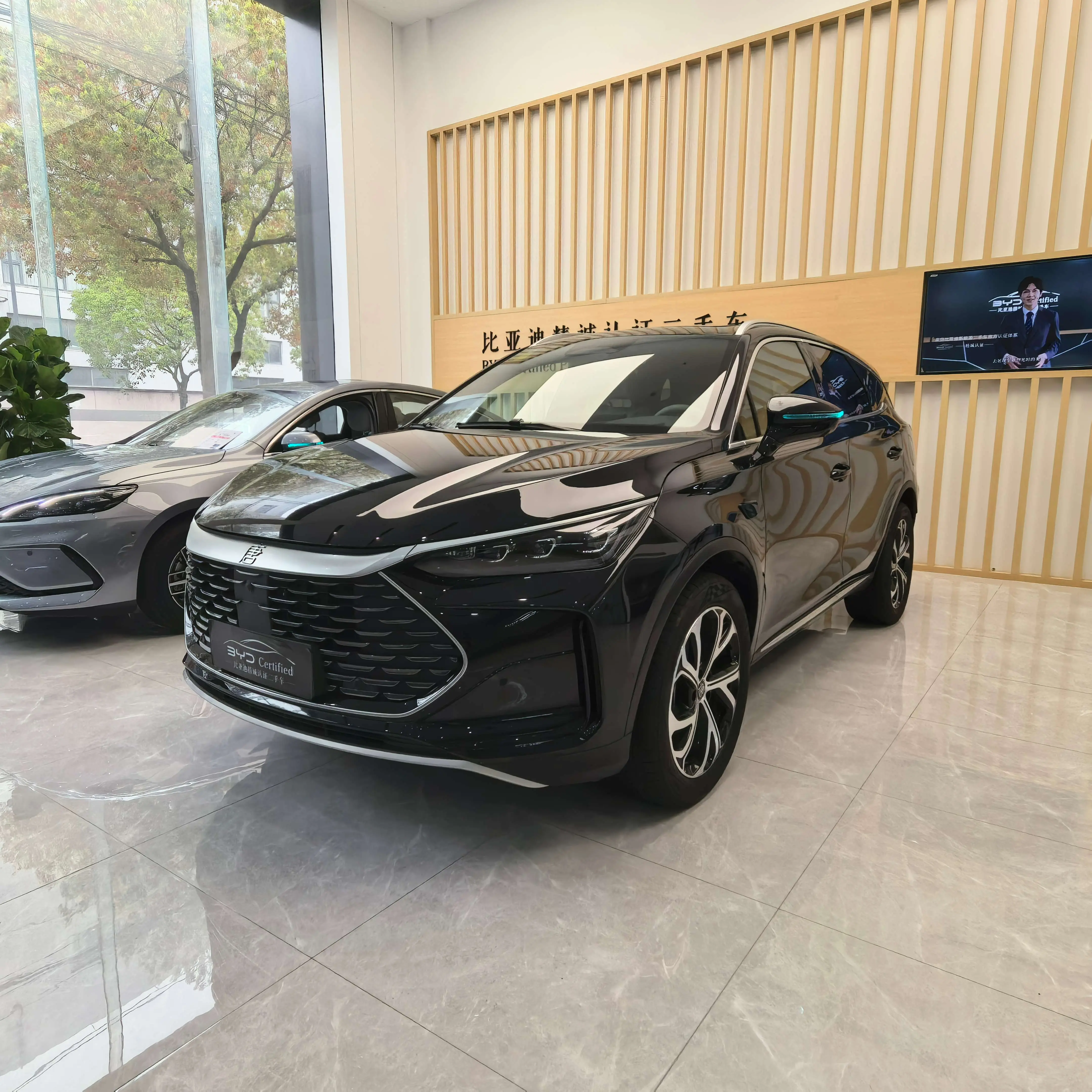 BYD Tang DM