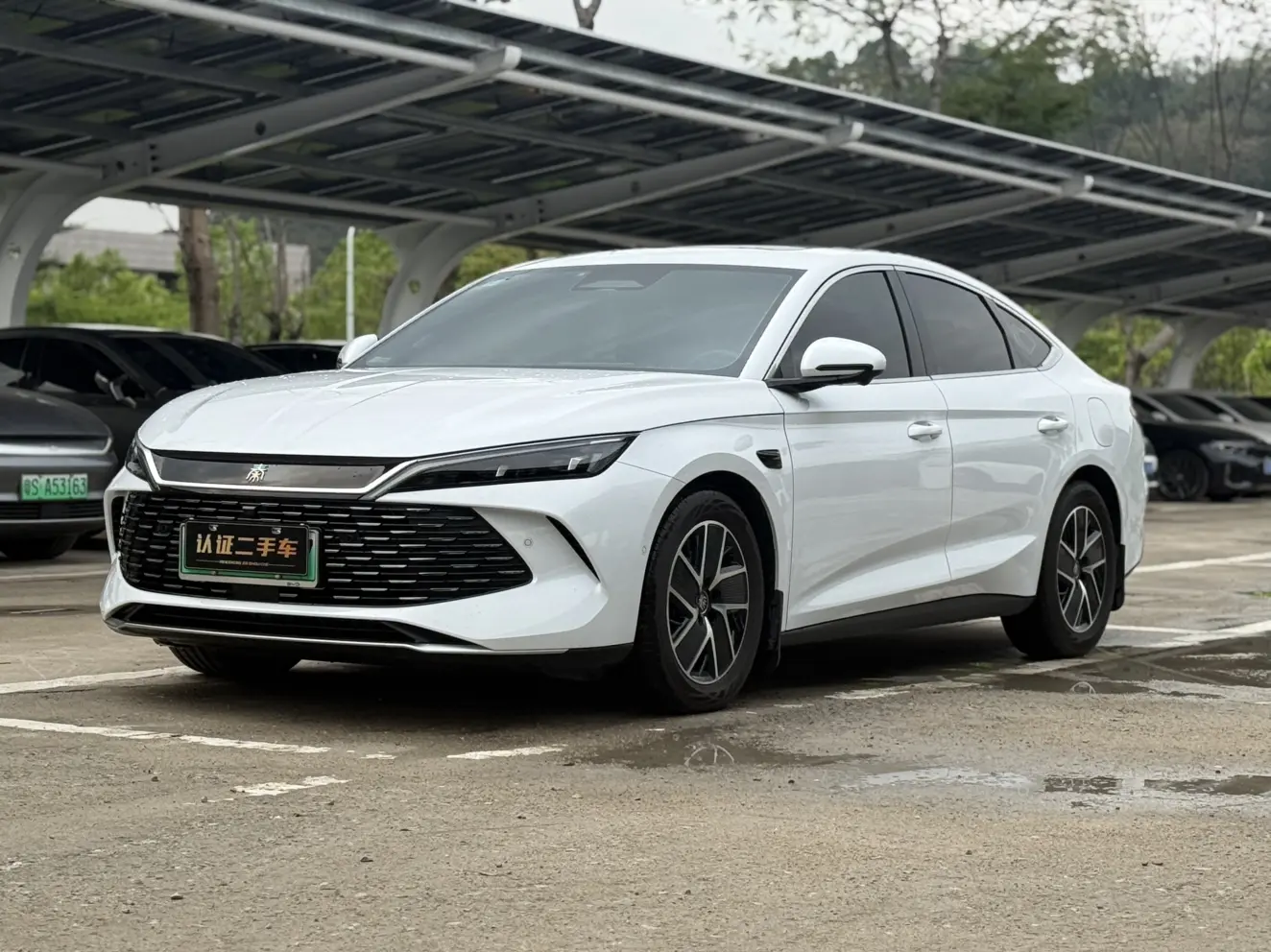 BYD Qin L DM
