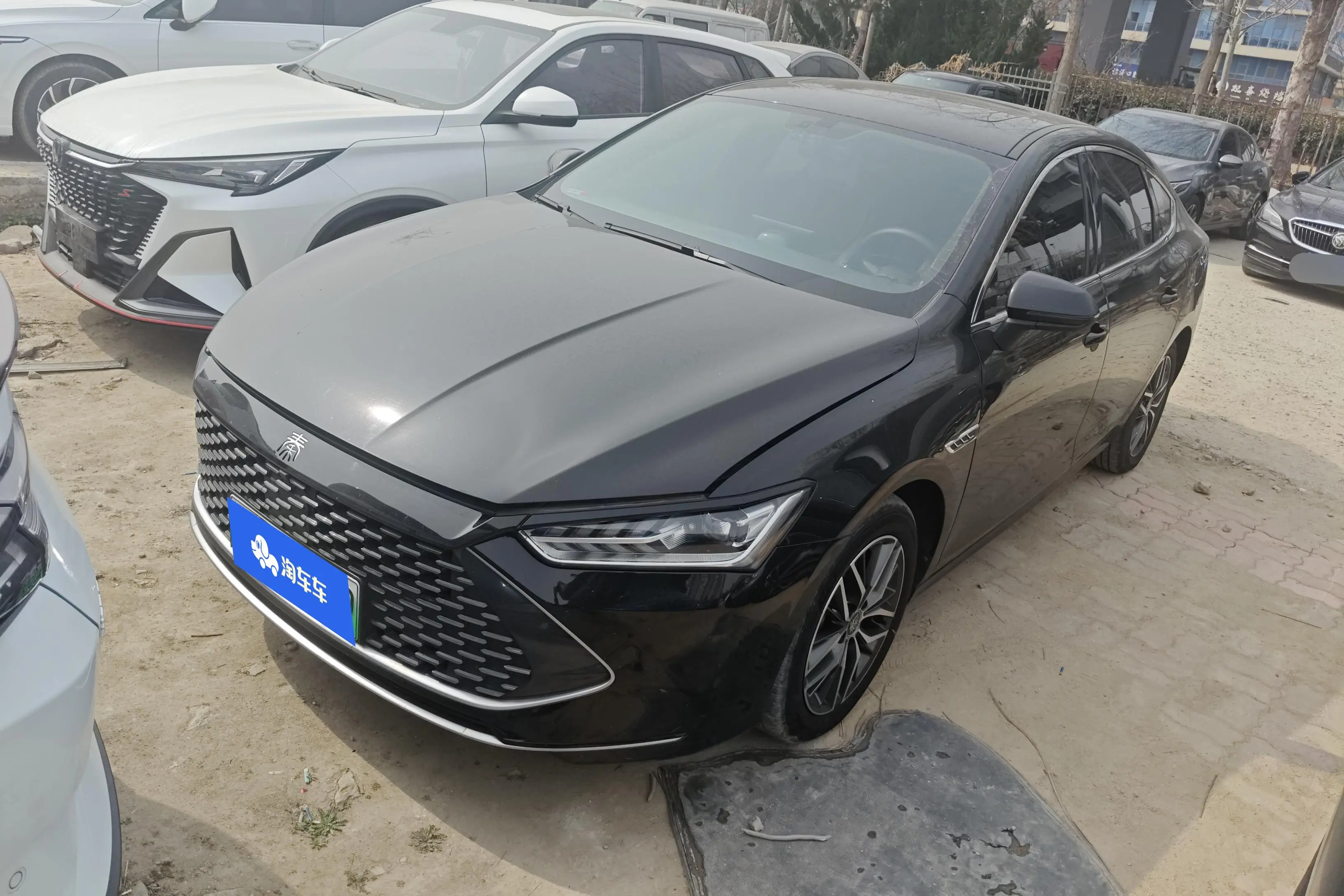 BYD Qin PLUS DM