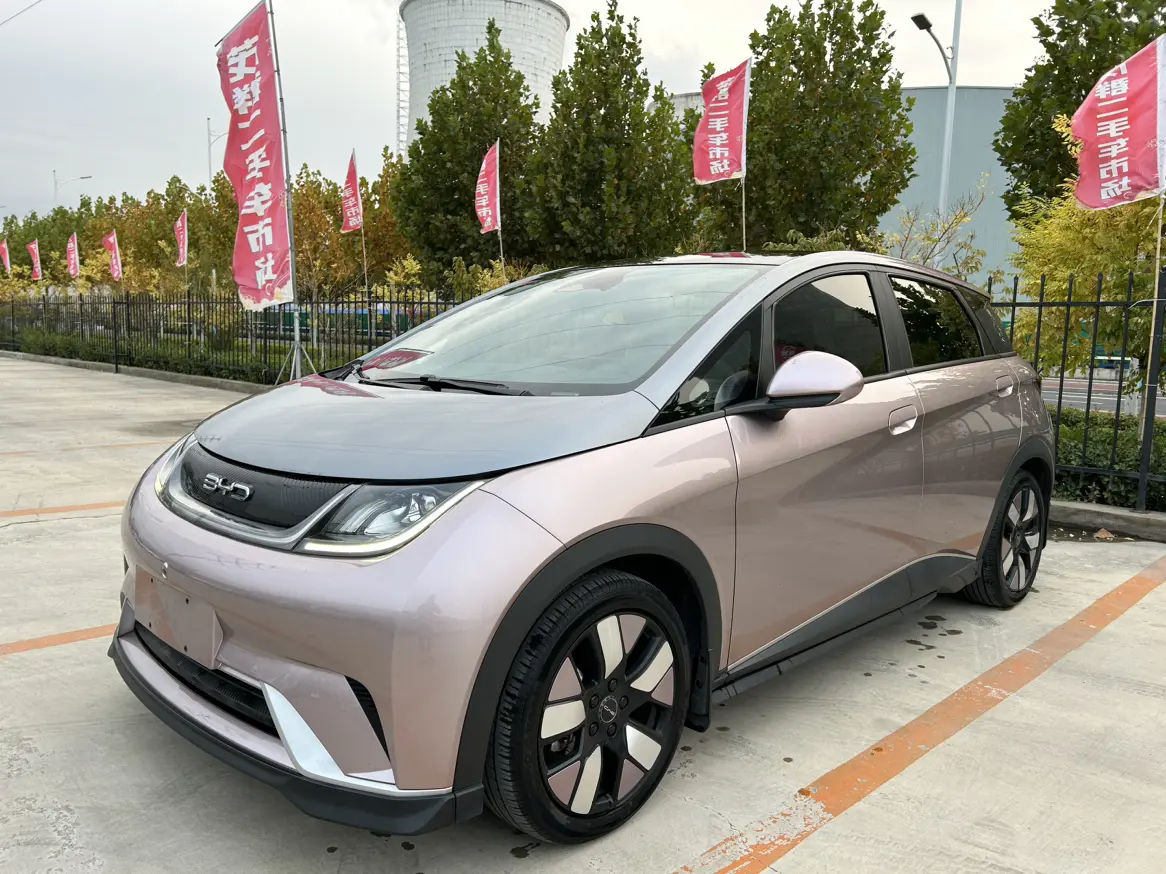BYD Dolphin