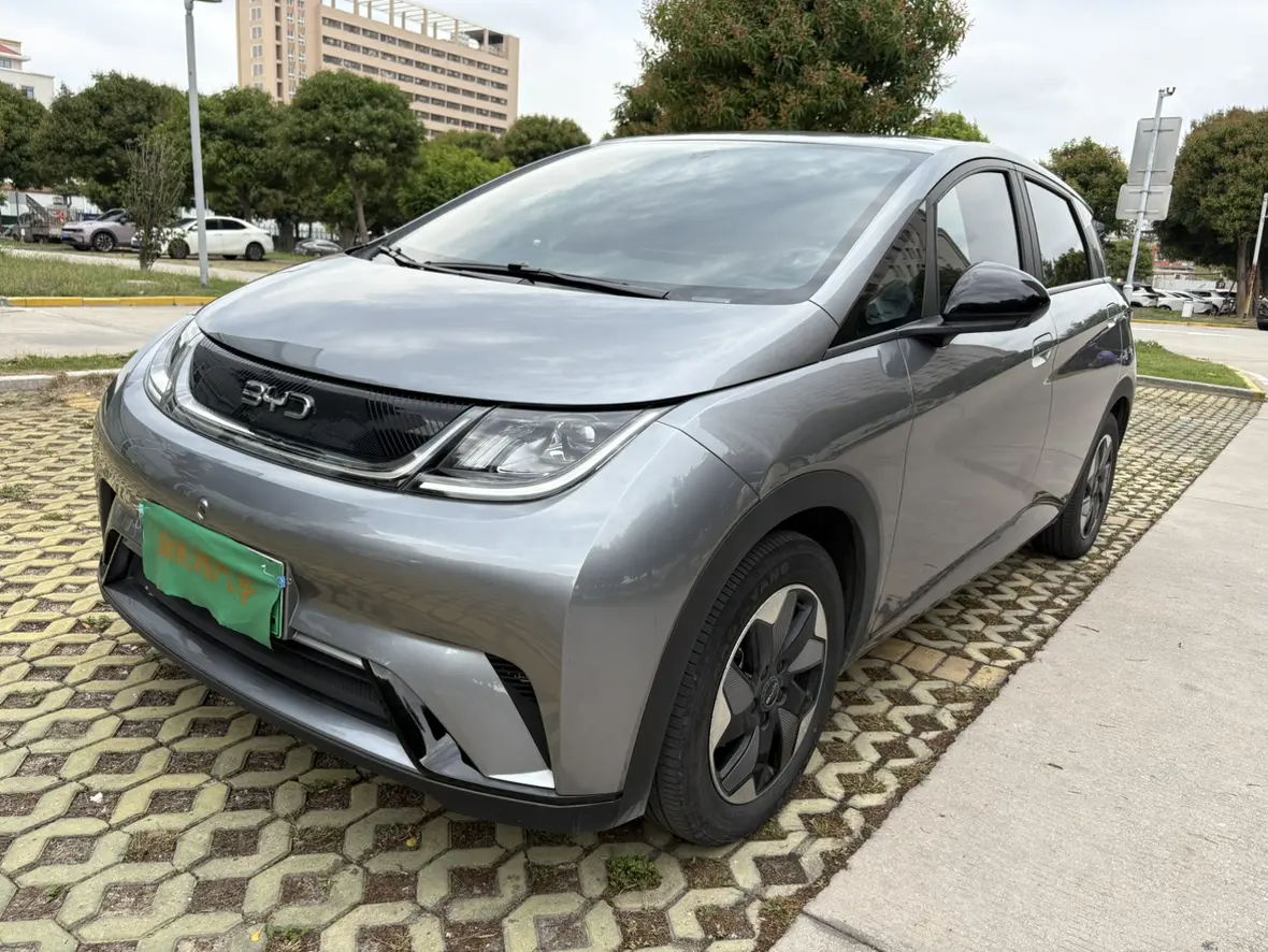 BYD Dolphin