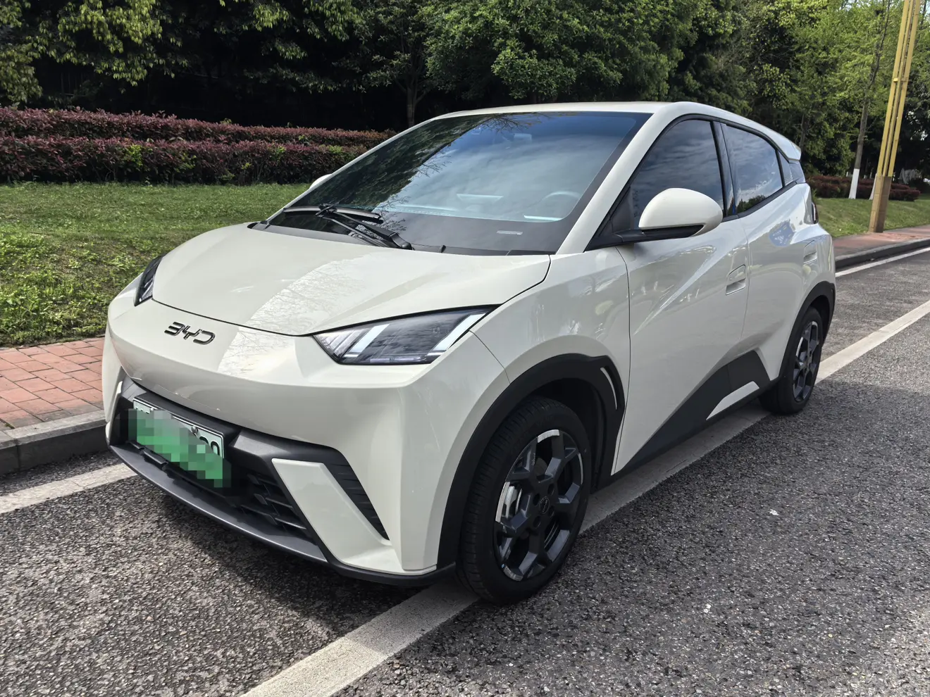 BYD Seagull