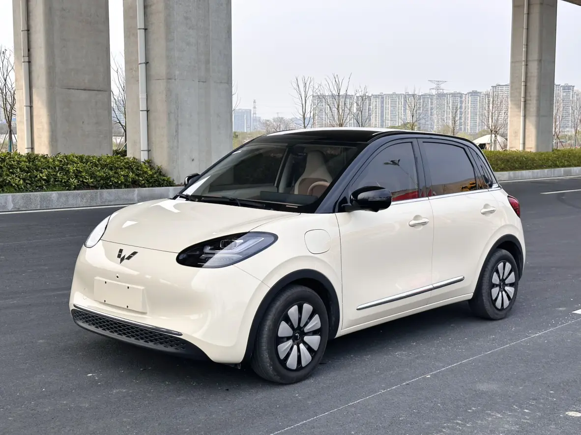 Wuling Bingo