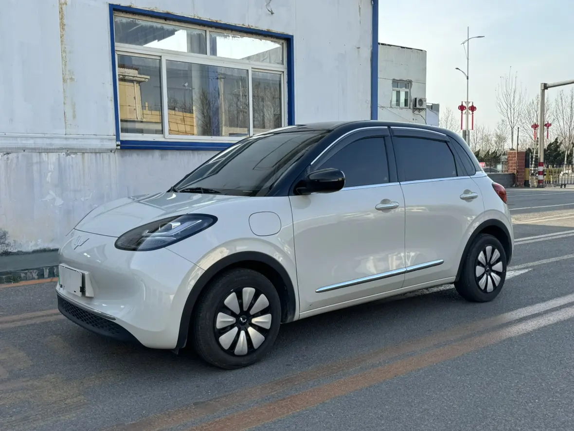 Wuling Bingo