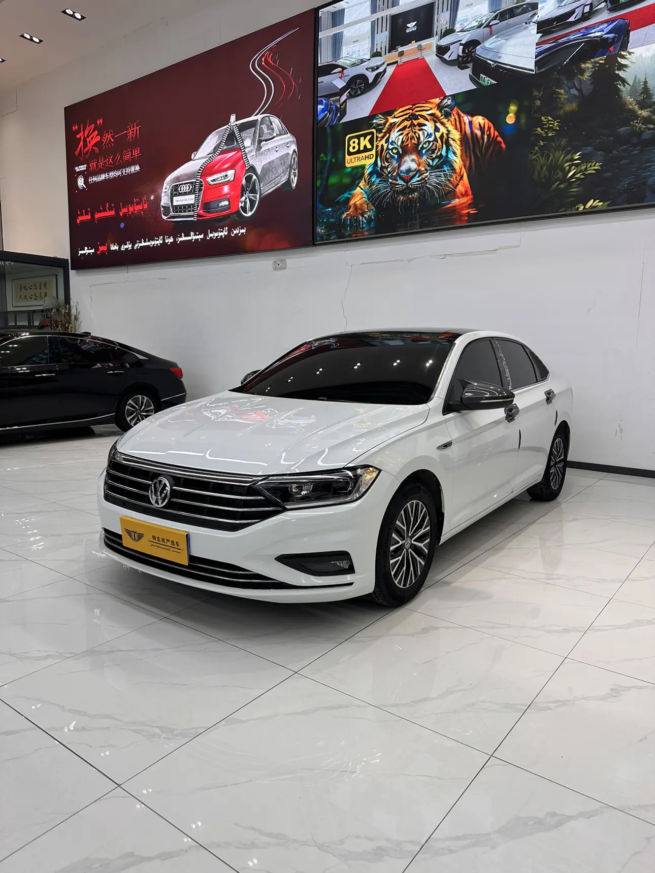 Volkswagen Sagitar