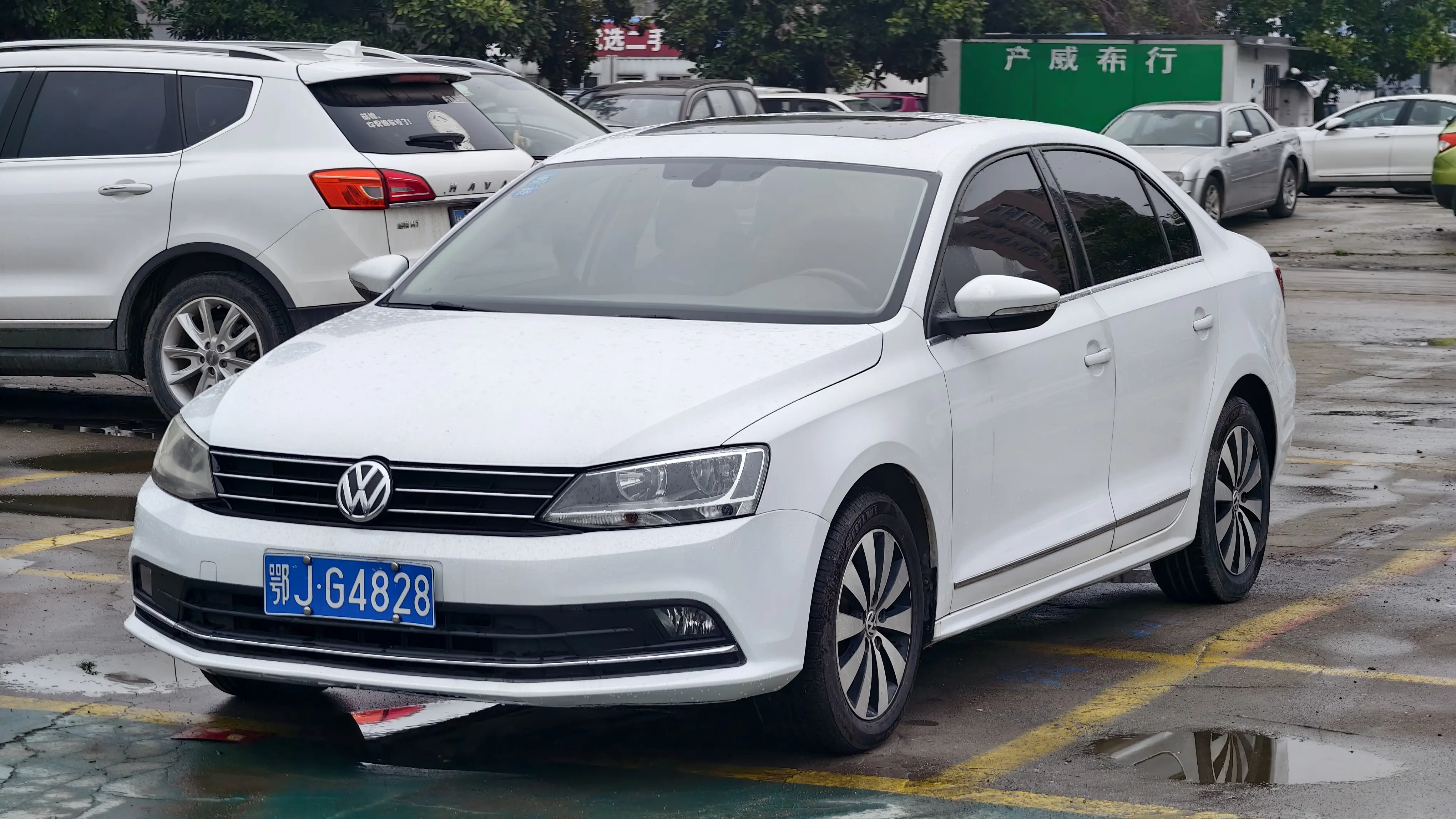 Volkswagen Sagitar
