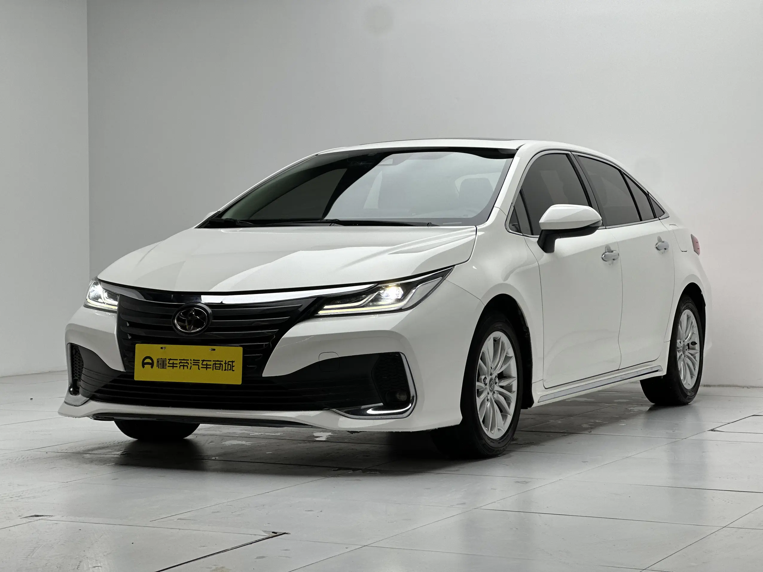 Toyota Asiatic lion