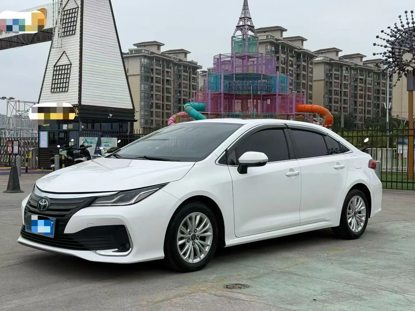 Toyota Asiatic lion