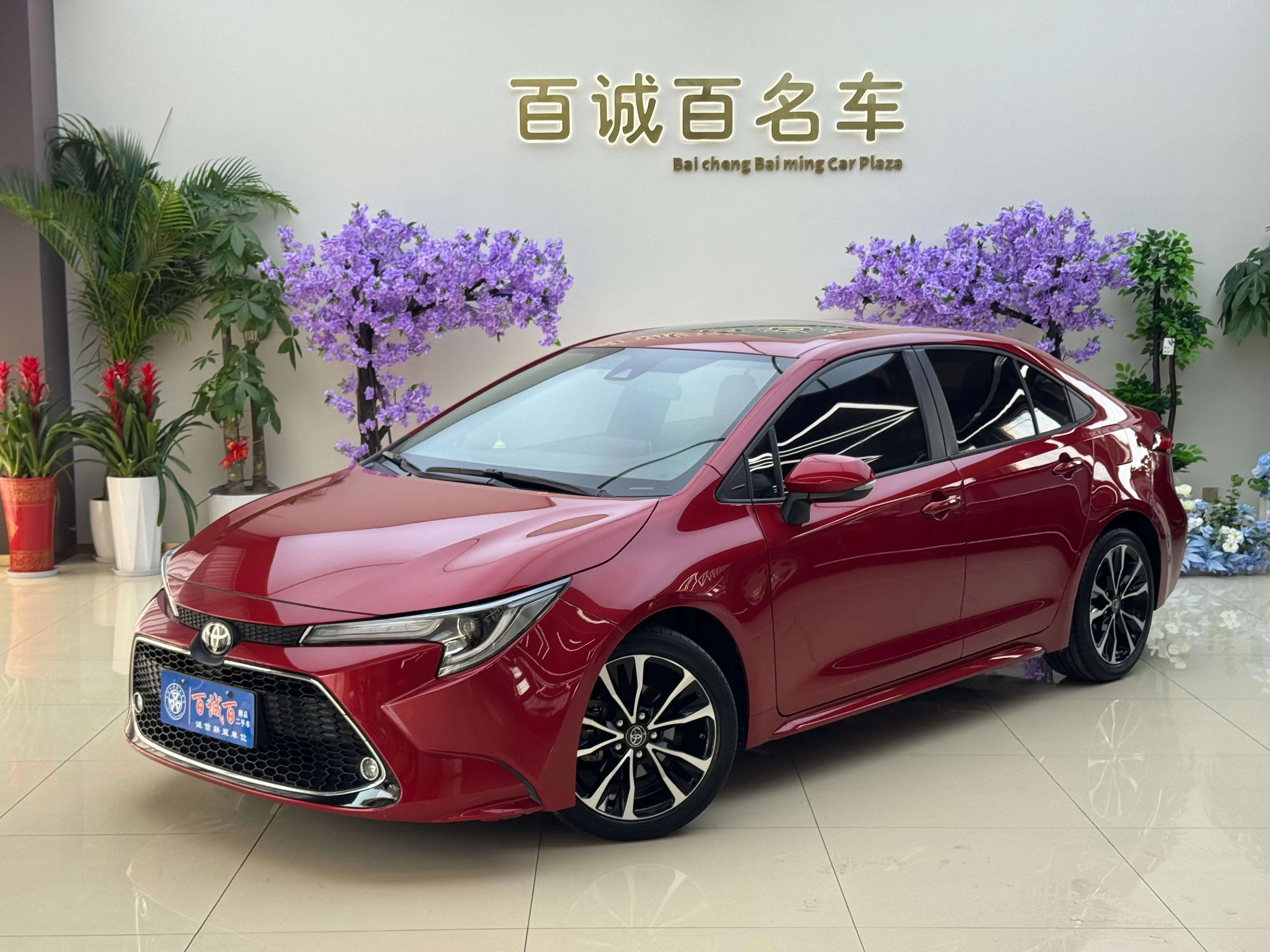 Toyota Levin