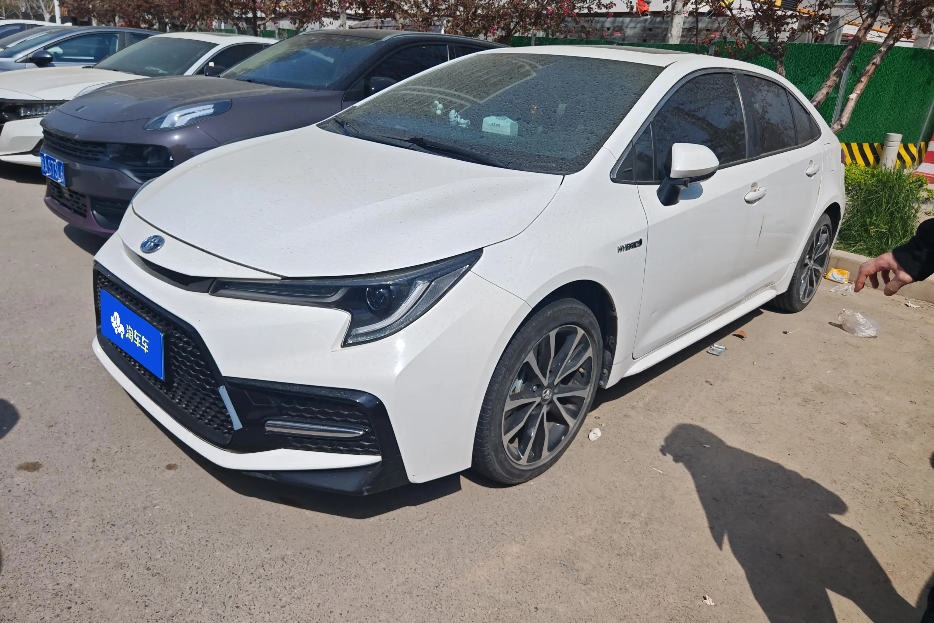 Toyota Levin