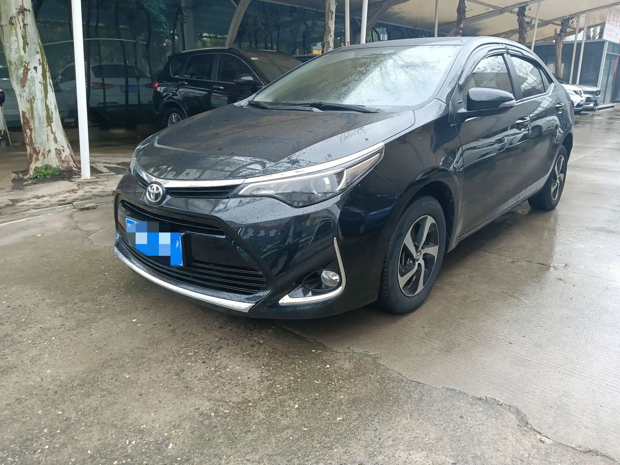 Toyota Levin