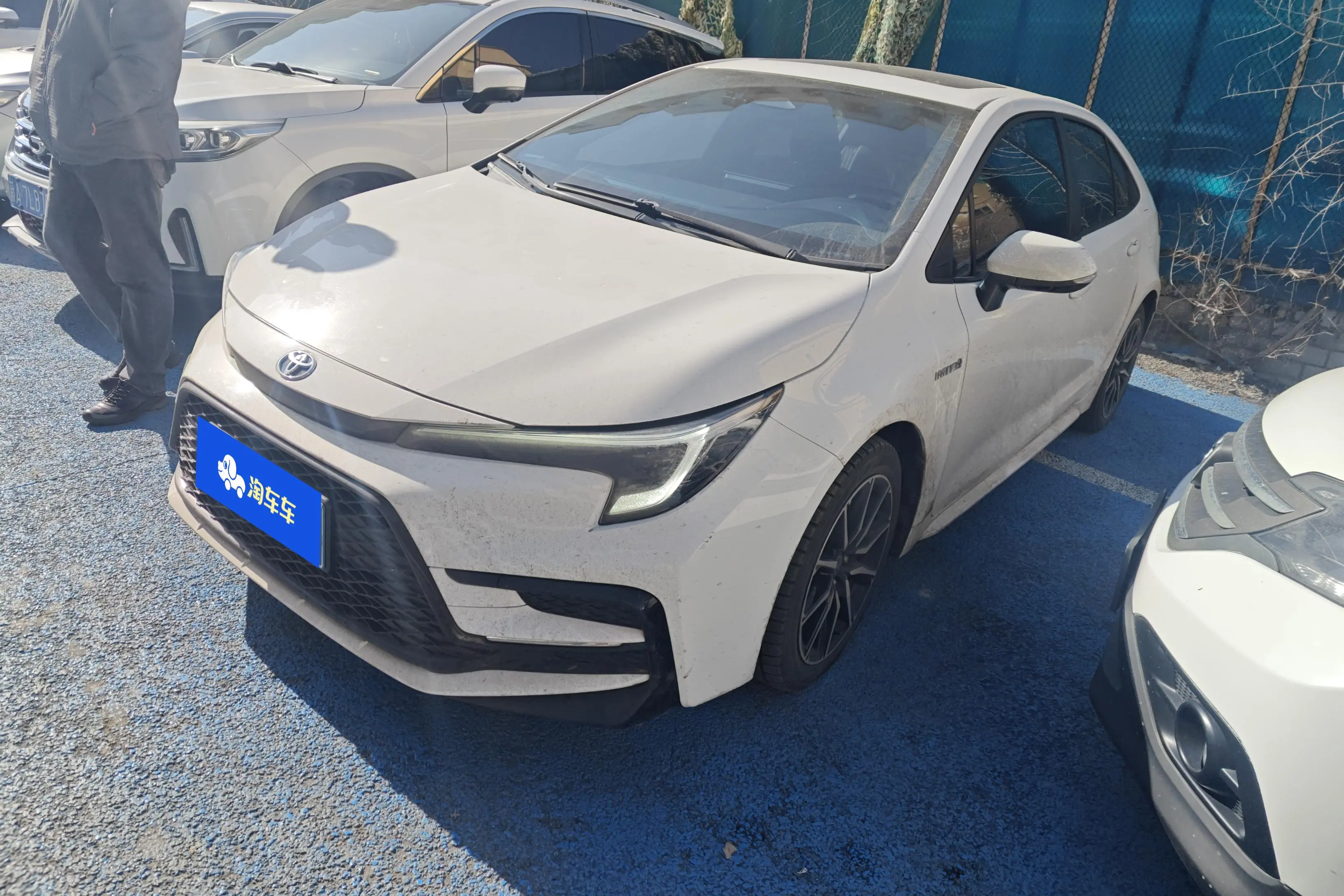 Toyota Levin
