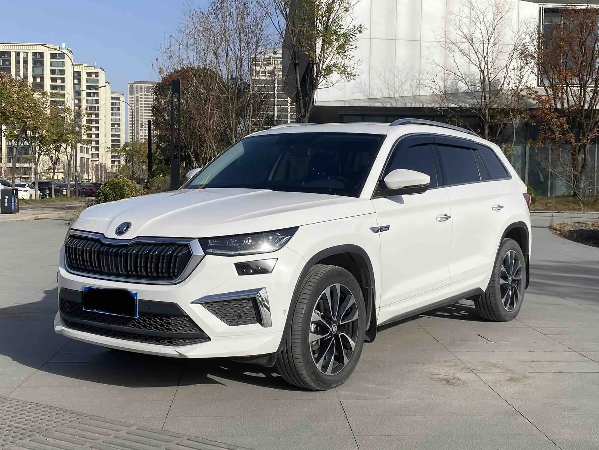 Skoda Kodiaq