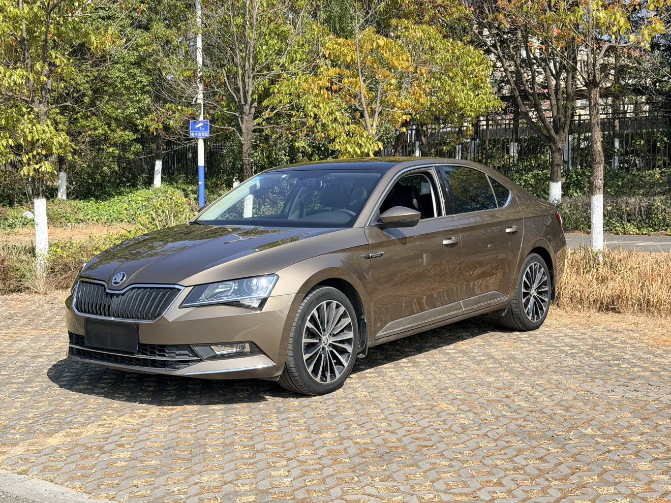 Skoda Speedy