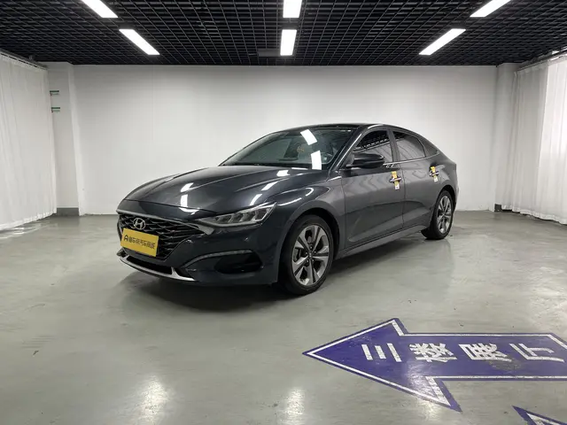 Hyundai Lafesta
