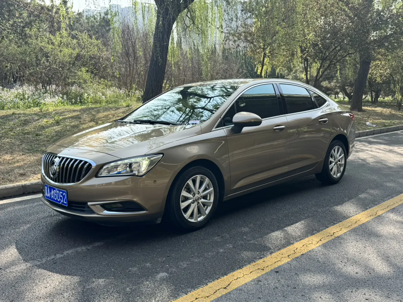 Buick Valeant