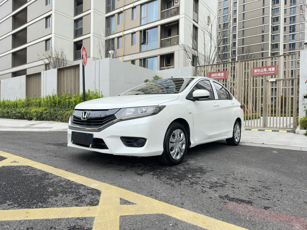 Honda Gray