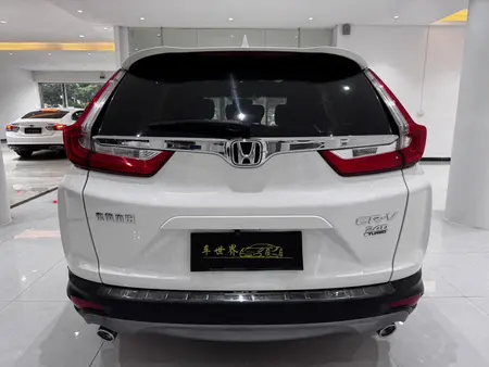 catalog-car-5