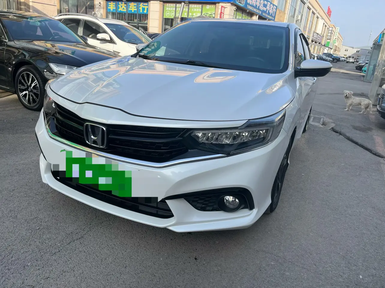 Honda Enjoy domain