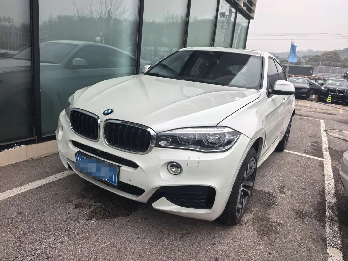 BMW X6