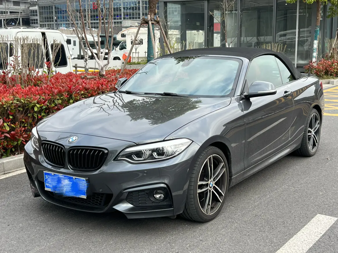 BMW 2 Series