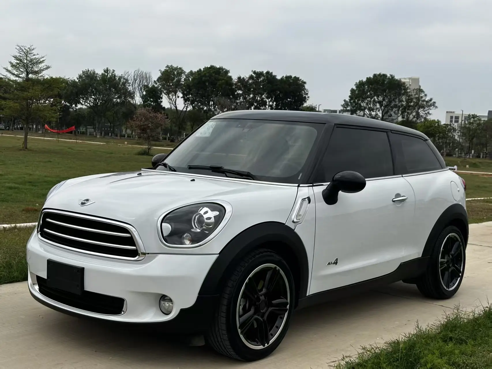 MINI PACEMAN