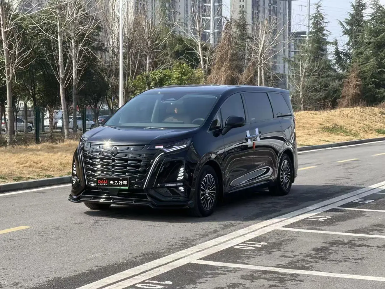 Denza D9 DM