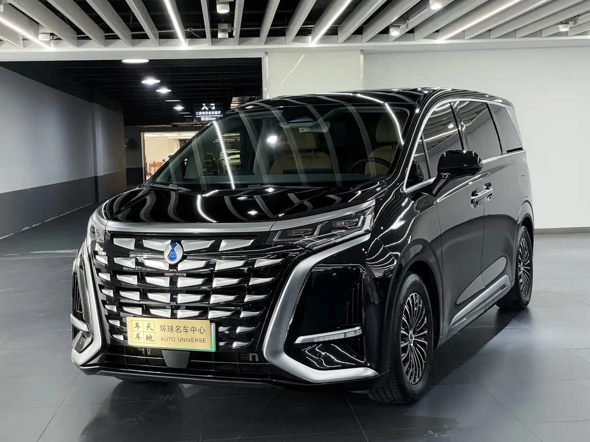 Denza D9 DM