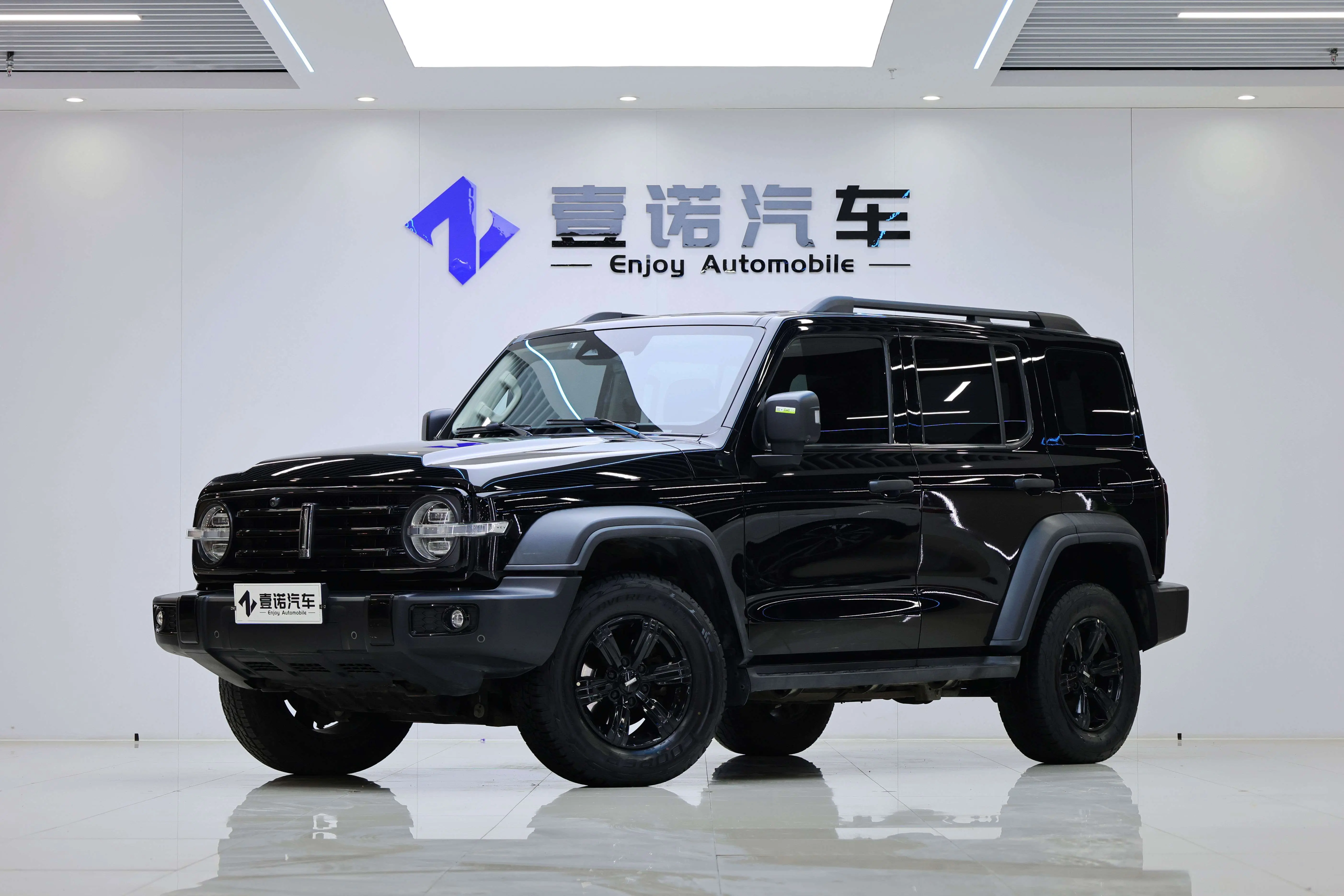 Tank 300