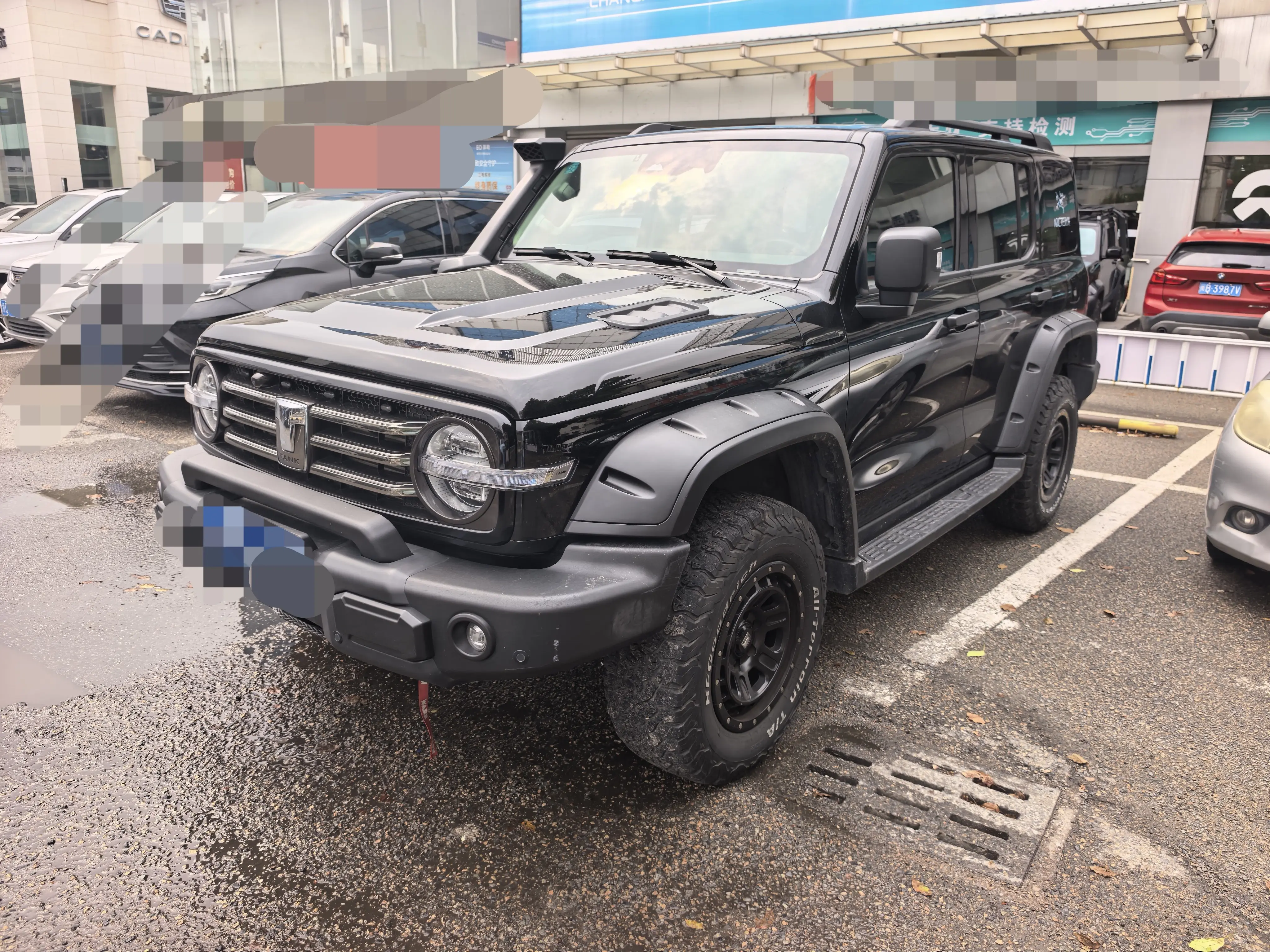 Tank 300